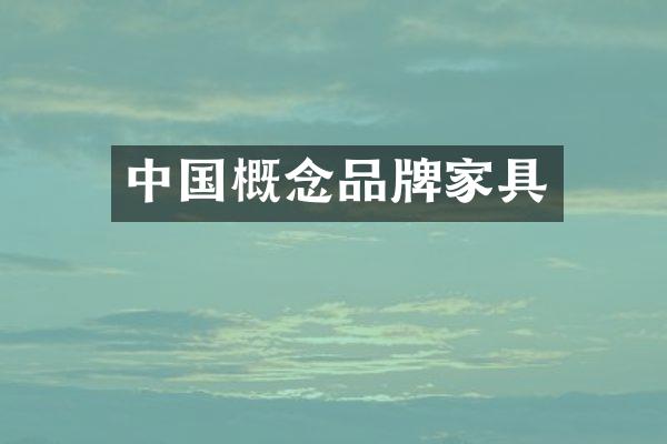 中国概念品牌家具
