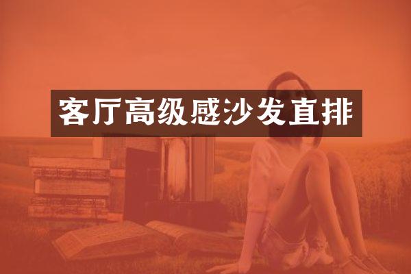 客厅高级感沙发直排