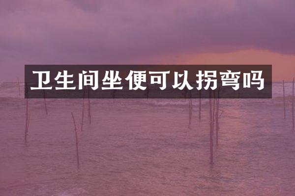 卫生间坐便可以拐弯吗