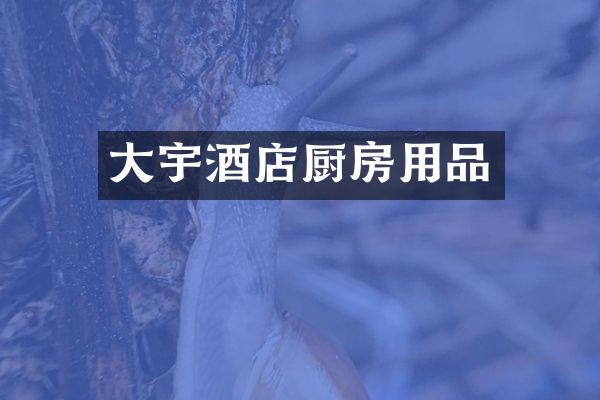 大宇酒店厨房用品