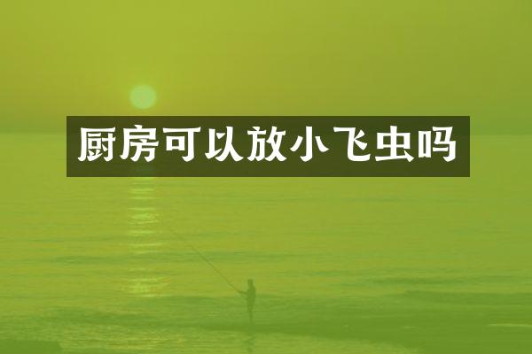 厨房可以放小飞虫吗