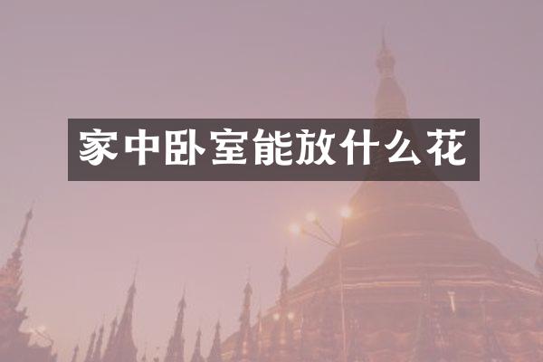 家中卧室能放什么花