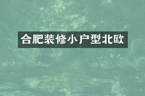 合肥装修小户型北欧