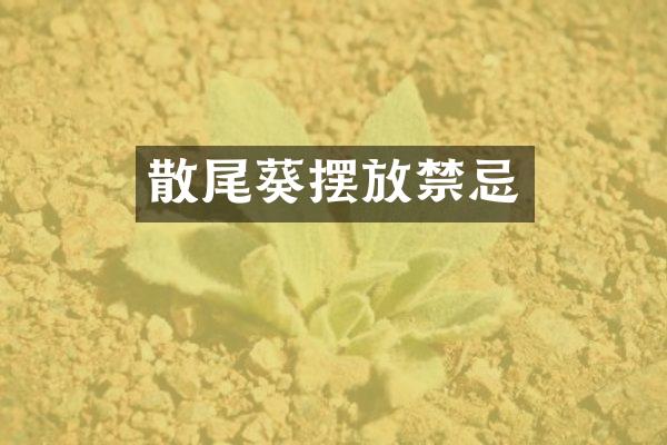 散尾葵摆放禁忌
