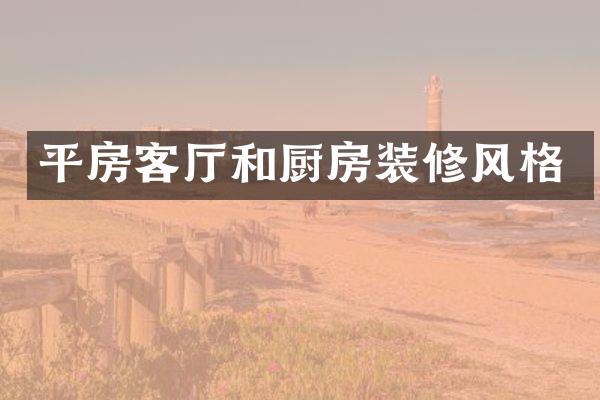 平房客厅和厨房装修风格