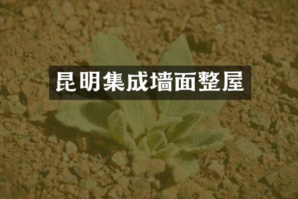 昆明集成墙面整屋