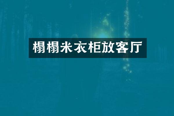 榻榻米衣柜放客厅