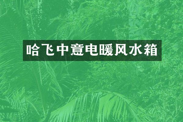 哈飞中意电暖风水箱