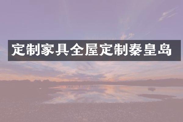 定制家具全屋定制秦皇岛
