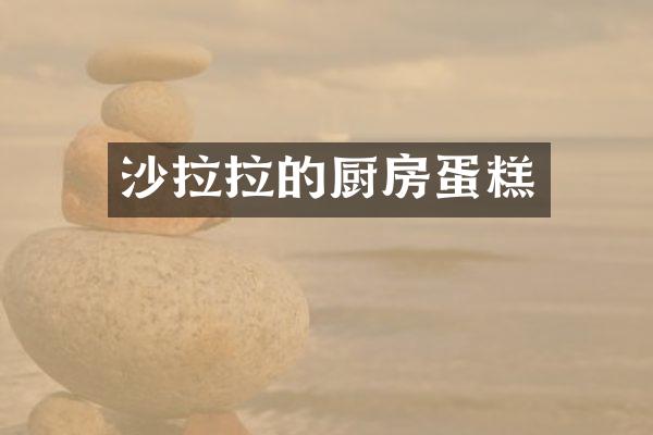 沙拉拉的厨房蛋糕