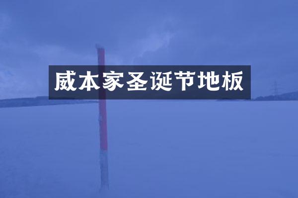 威本家圣诞节地板