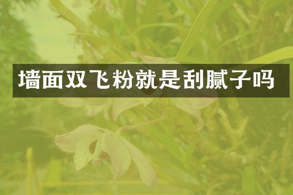 墙面双飞粉就是刮腻子吗