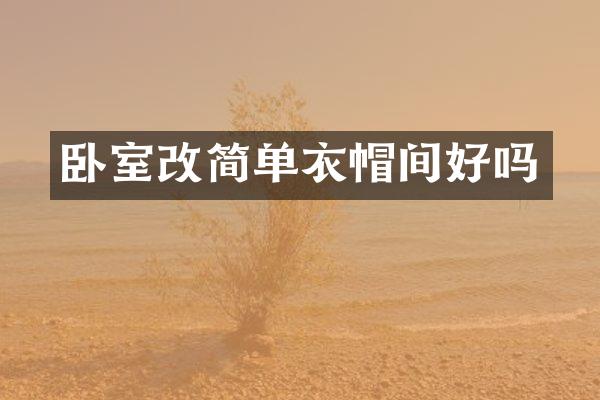 卧室改简单衣帽间好吗