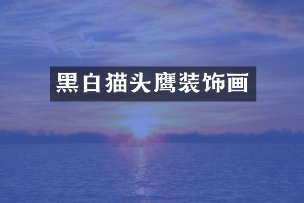 黑白猫头鹰装饰画