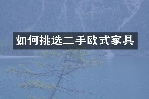 如何挑选二手欧式家具