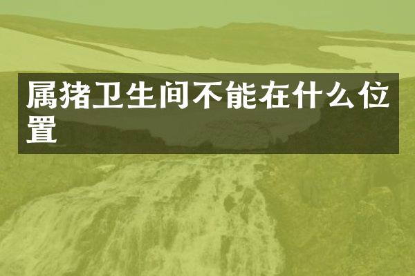 属猪卫生间不能在什么位置