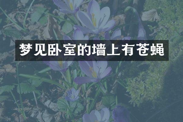 梦见卧室的墙上有苍蝇
