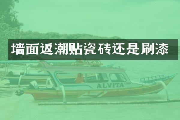 墙面返潮贴瓷砖还是刷漆