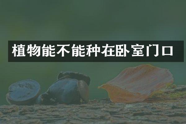 植物能不能种在卧室门口
