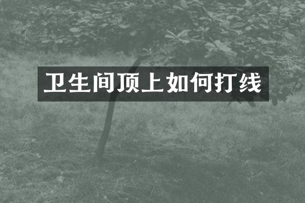 卫生间顶上如何打线