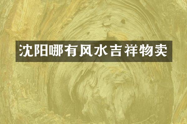沈阳哪有风水吉祥物卖