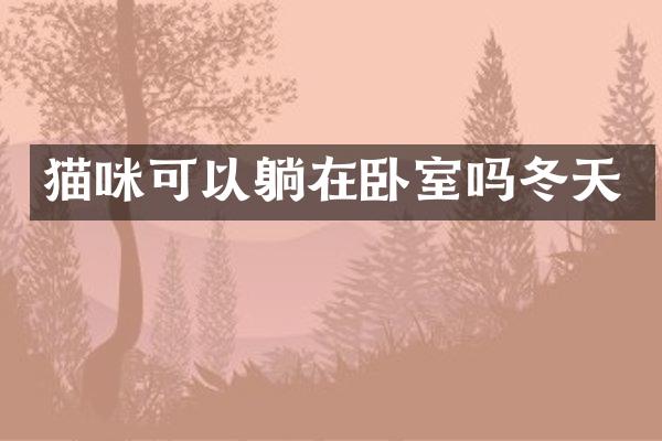 猫咪可以躺在卧室吗冬天