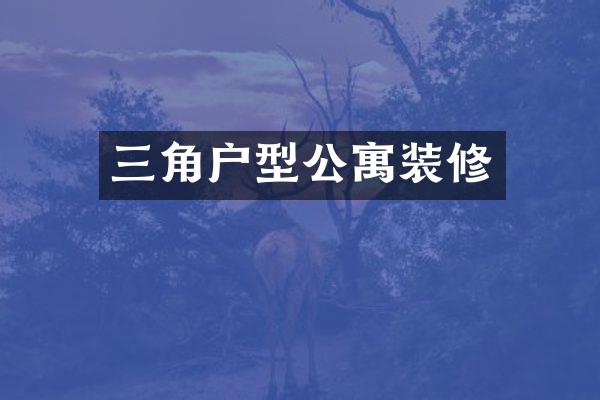 三角户型公寓装修