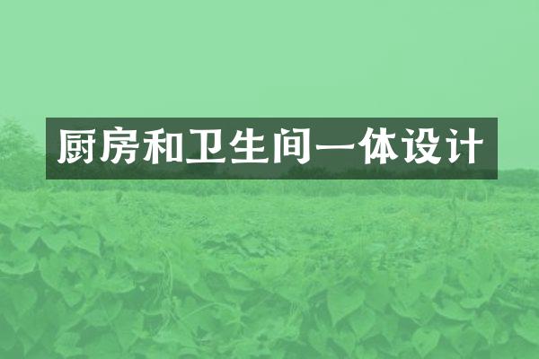 厨房和卫生间一体设计