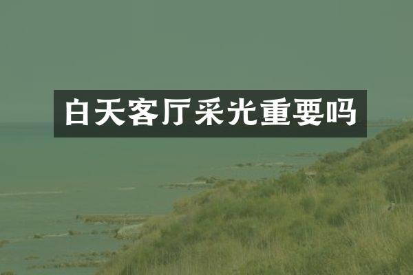 白天客厅采光重要吗
