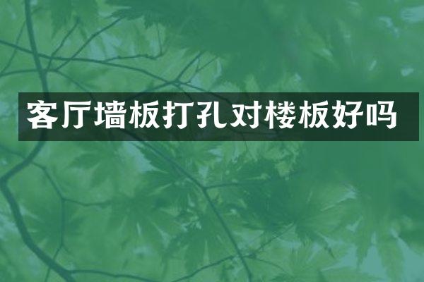 客厅墙板打孔对楼板好吗