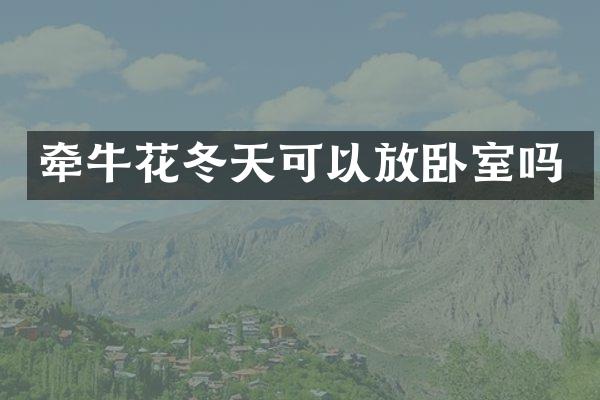 牵牛花冬天可以放卧室吗
