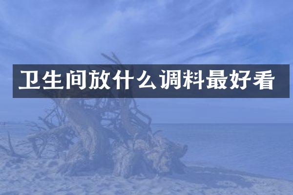 卫生间放什么调料最好看