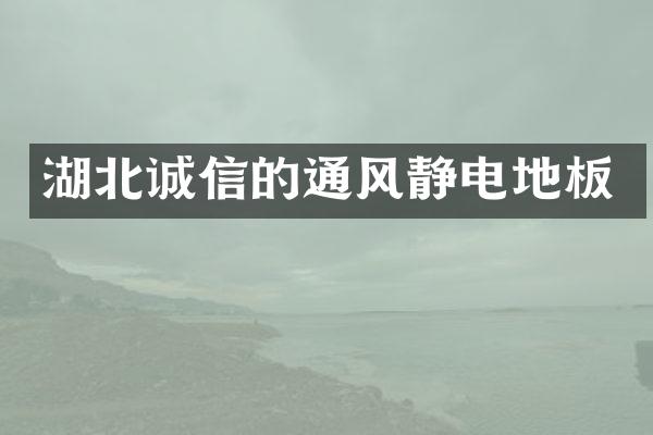 湖北诚信的通风静电地板