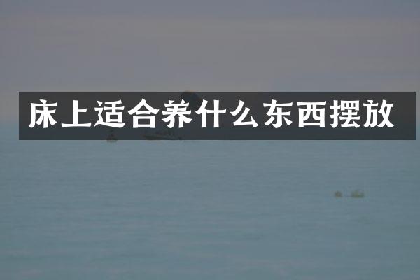 床上适合养什么东西摆放