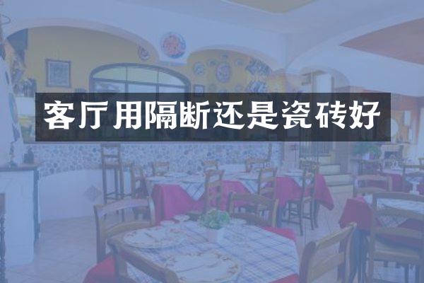 客厅用隔断还是瓷砖好