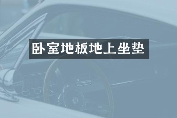 卧室地板地上坐垫