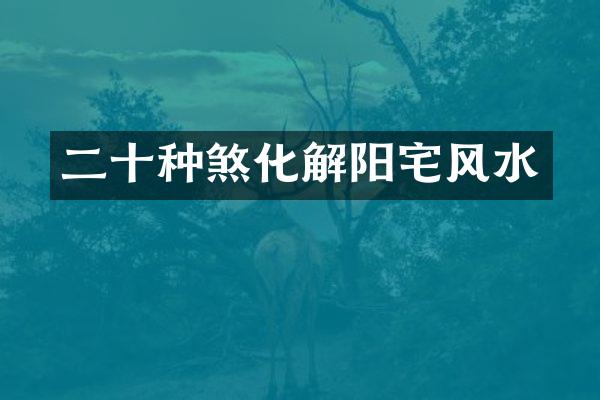 二十种煞化解阳宅风水
