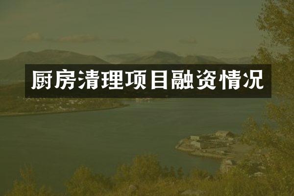 厨房清理项目融资情况