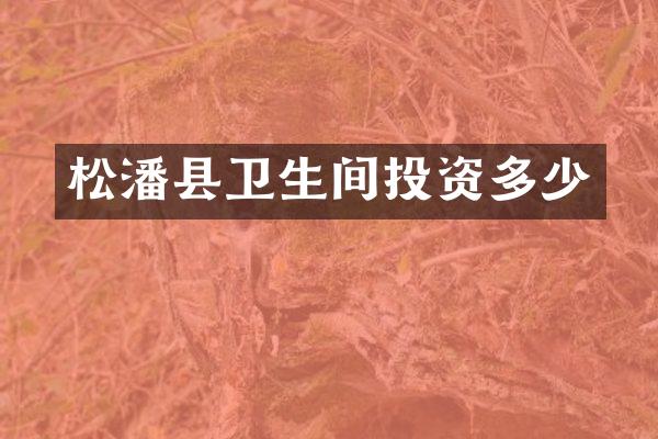 松潘县卫生间投资多少