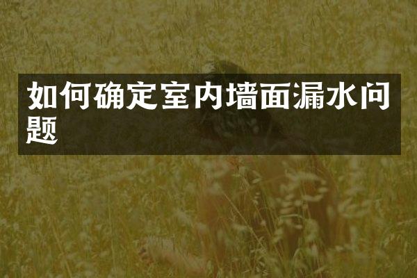 如何确定室内墙面漏水问题