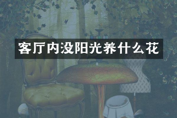 客厅内没阳光养什么花