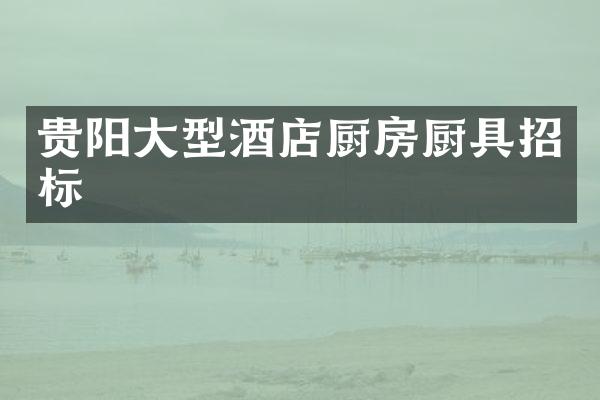 贵阳大型酒店厨房厨具招标