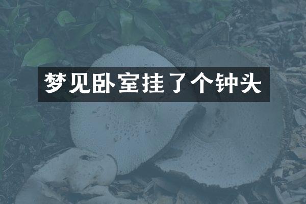梦见卧室挂了个钟头