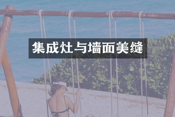集成灶与墙面美缝