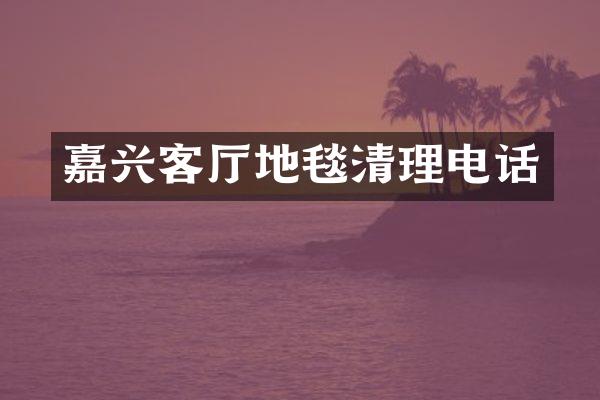 嘉兴客厅地毯清理电话