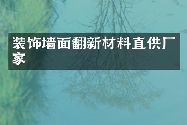装饰墙面翻新材料直供厂家