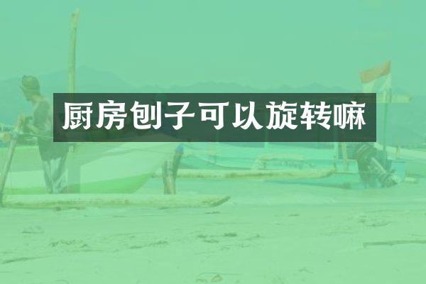 厨房刨子可以旋转嘛
