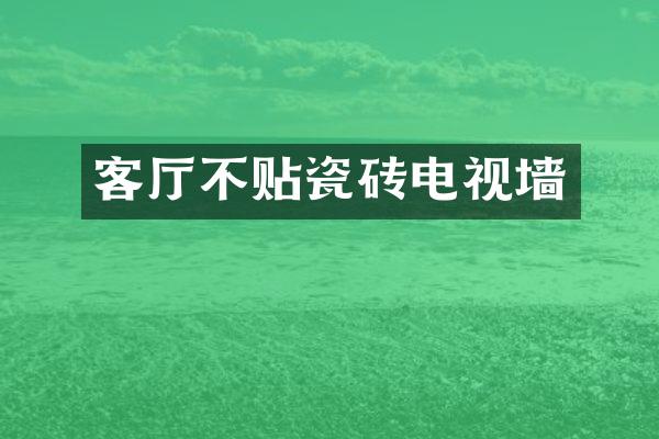 客厅不贴瓷砖电视墙