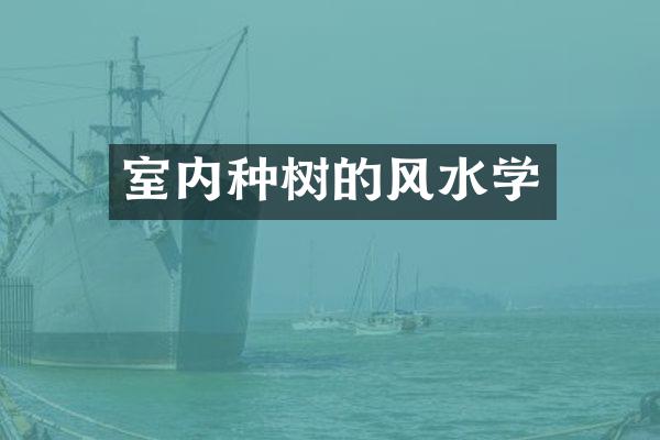 室内种树的风水学