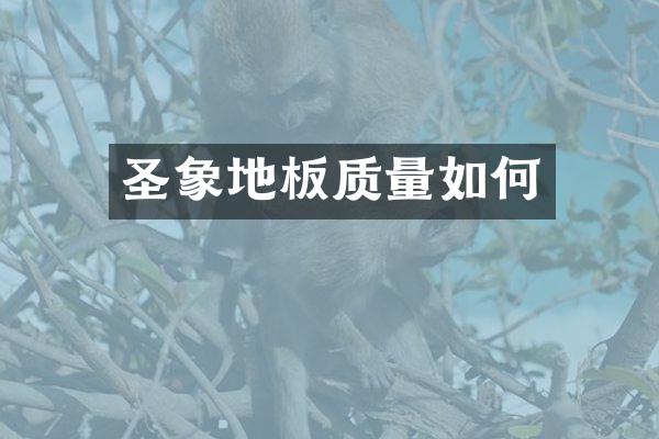 圣象地板质量如何